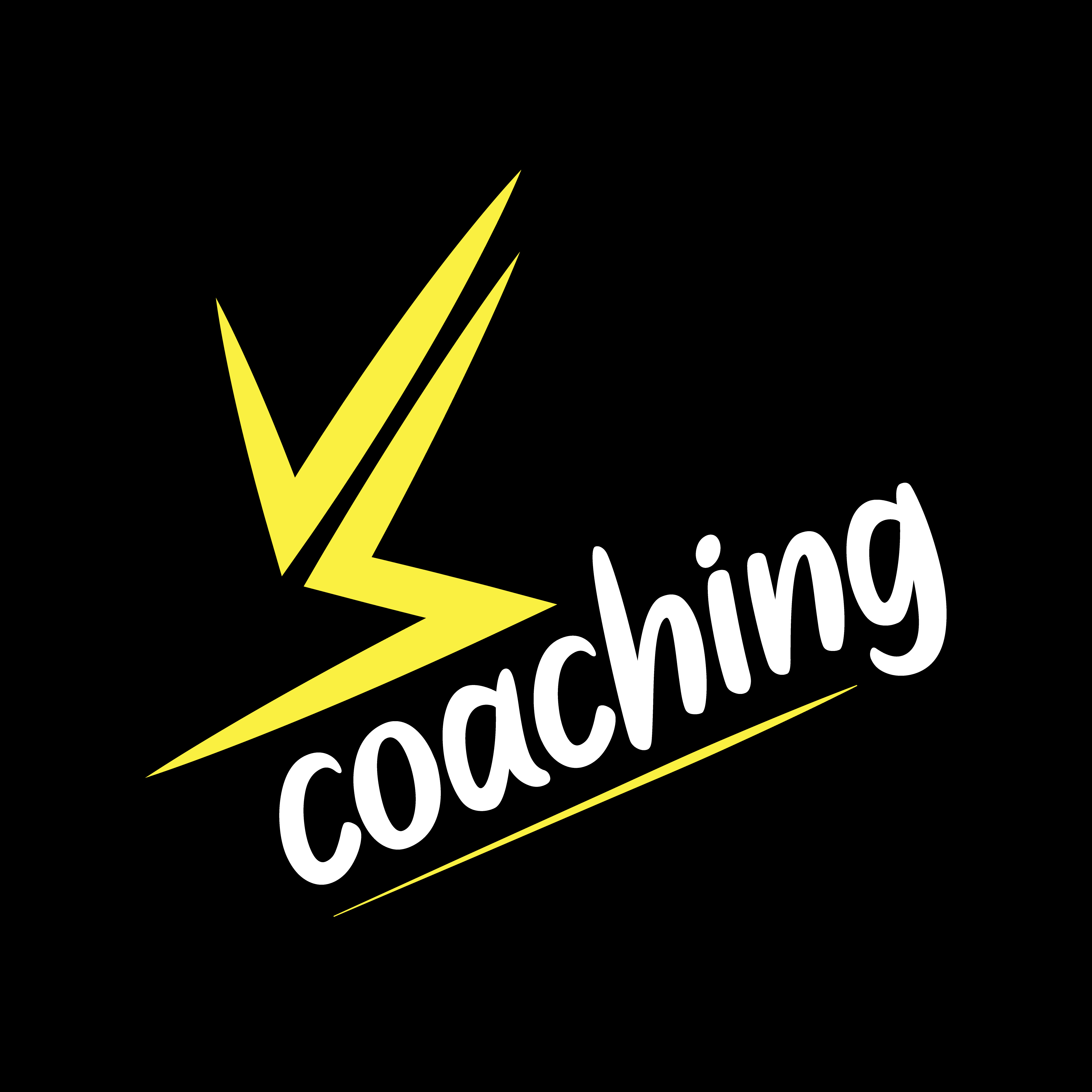 Création de logo pour Vs Coaching lyon